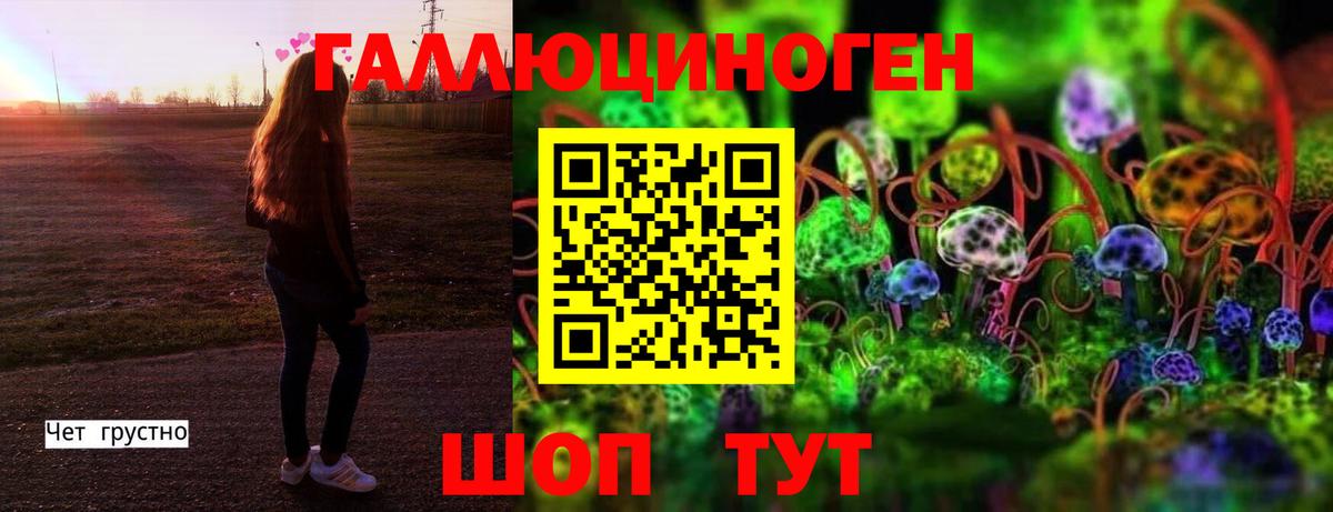 Псилоцибиновые грибы Psilocybe Алатырь